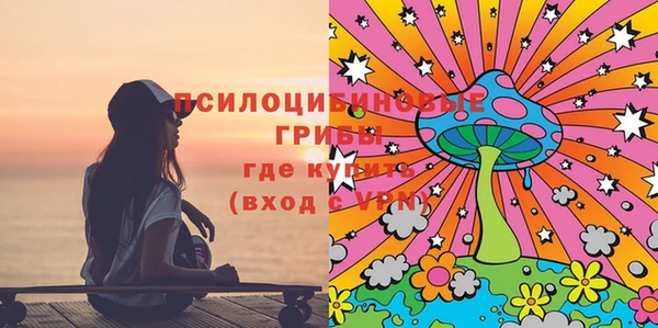 ГАЛЛЮЦИНОГЕННЫЕ ГРИБЫ Абдулино