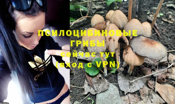 винт Остров