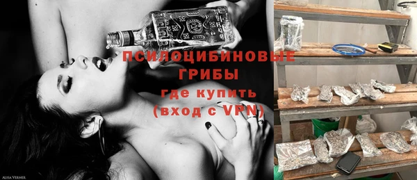дмт Алексеевка