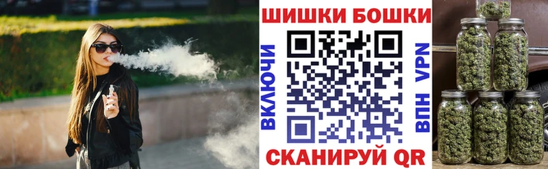 Конопля гибрид  Ладушкин 